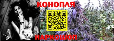 шишки Наро-Фоминск