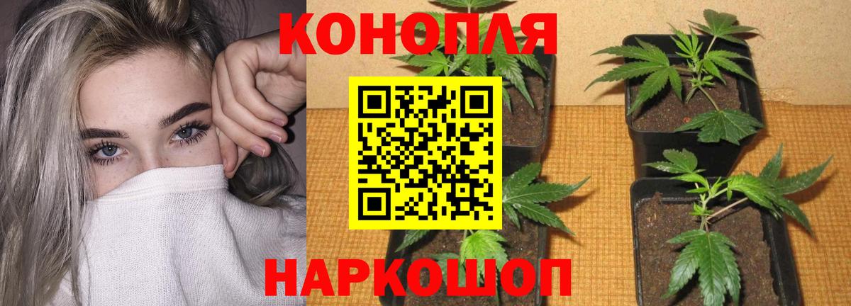 Каннабис марихуана Славянск-на-Кубани
